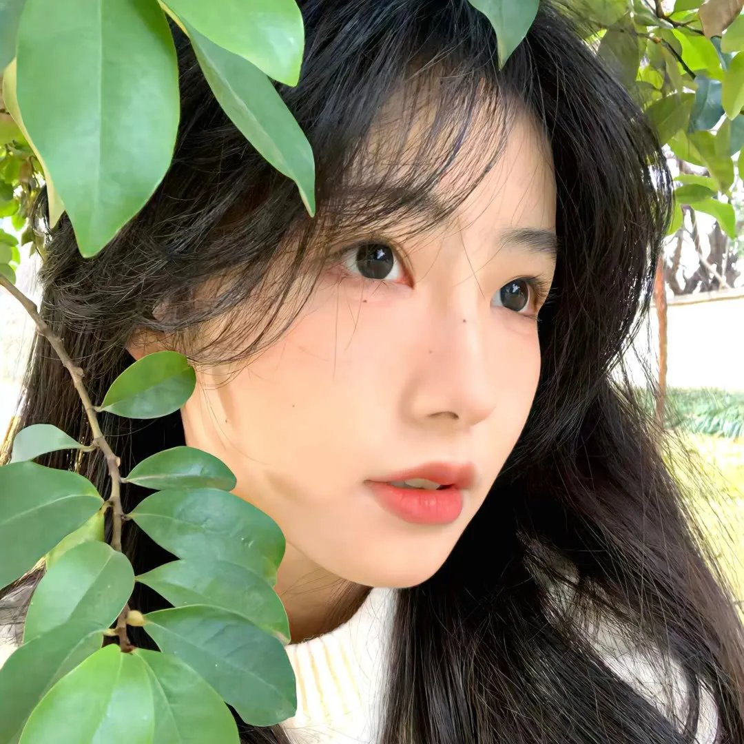 人力资源